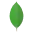 devicon_mongodb